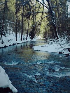 Fotografie z b.egger na trase