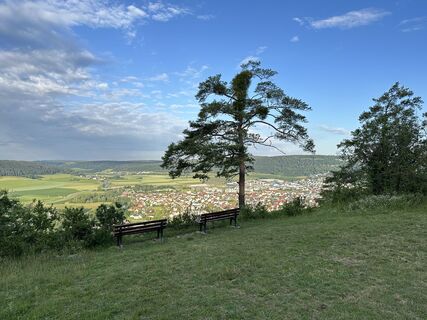 Foto de justasimpleguy a lo largo del recorrido