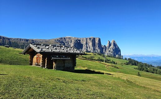 Fotó a Veronika Strauss honlapról a túra során