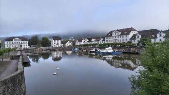 Foto von Sauerpurzel entlang der Tour
