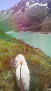 Foto von Sonja Herdeg entlang der Tour