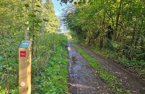 Wanderung Teiche und Sümpfe von Mareuil-Caubert