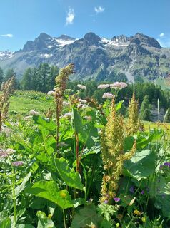Foto från Harry Kooijman 1 under resans gång