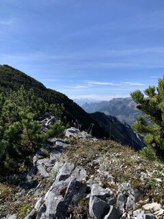 Fotografija s spletne strani Elisabeth Wiesmayr na poti