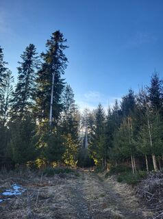 Foto von Melli entlang der Tour