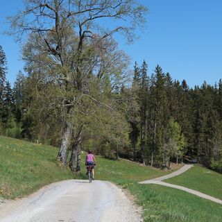 Gubel - Bern-Süd Route