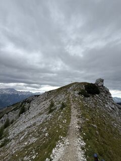 Photo de Alexandra le long du parcours