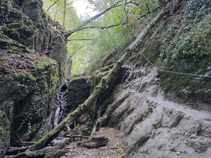 Foto de Olesja Reichenbach a lo largo del recorrido