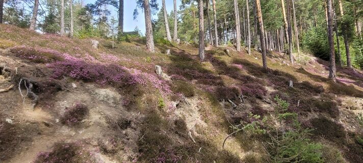 Foto von Manfred Eibel entlang der Tour