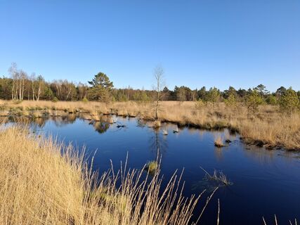 Photo de nordbergschnecke le long du parcours