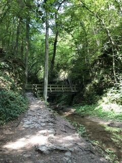 Foto de reinholdigler a lo largo del recorrido