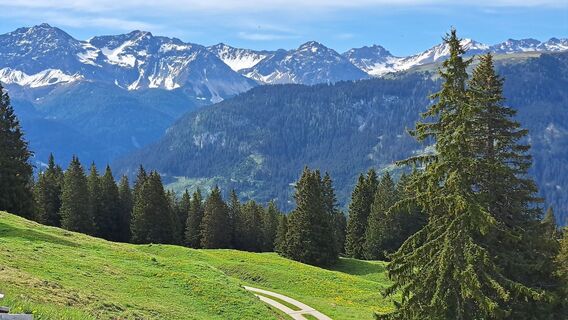 Foto von Otto Wernli entlang der Tour