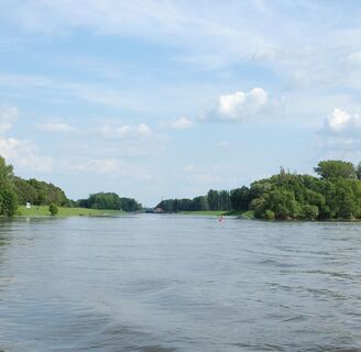 Mündung Untere Havel in die Mittelelbe
