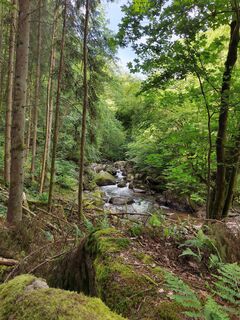 Fotografia z ReginaSt na trase