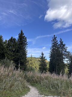 Foto von Heinz Sperl entlang der Tour