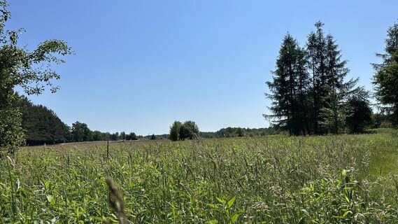 Foto von Z-Polen entlang der Tour