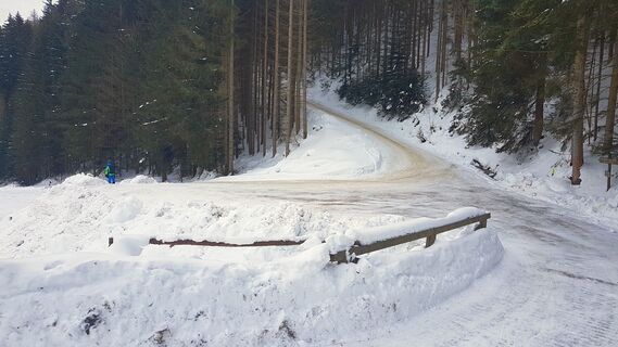Alternative: Forststraße links