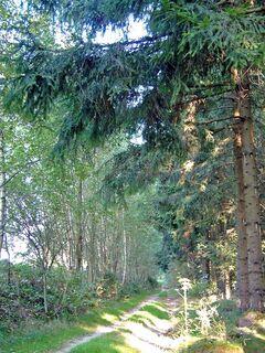 Weg Richtung Galgenkreuz