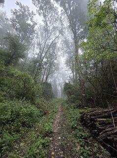 Photo de János Zsolt Mahr le long du parcours