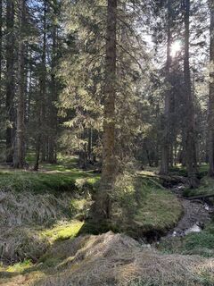 Foto von Alja Koren entlang der Tour