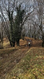Foto de ROBERTO BONIOTTI a lo largo del recorrido