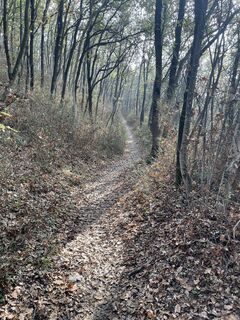 Foto de Franz Leitner a lo largo del recorrido