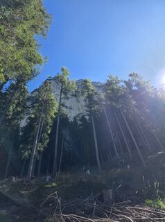 Foto von Simone Weimann entlang der Tour