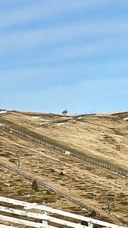 Photo de Schabsi le long du parcours