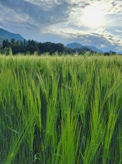 Fotografia z Dagmar Hofer na trase
