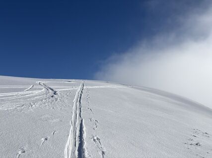 Foto från Heinz Sperl under resans gång