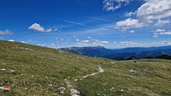Photo de EP87 le long du parcours