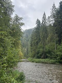 Foto de Csaba Marosi a lo largo del recorrido