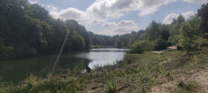Fotografija s spletne strani Niek Werf na poti