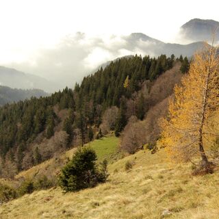 Shepards Trail im Herbst