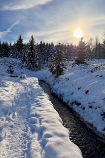 Photo de TallWanderBilly le long du parcours