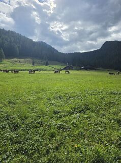 Foto de Gianluca Bucciantini a lo largo del recorrido