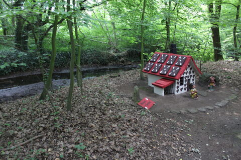 Märchenwald Pfarrbusch Steyerberg