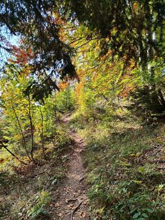herbstlicher teilweise steiler Anstieg