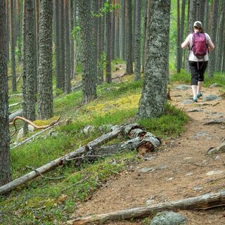 Der Weg hat einige Steine