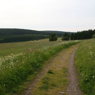 Rennsteig hinter Neustadt