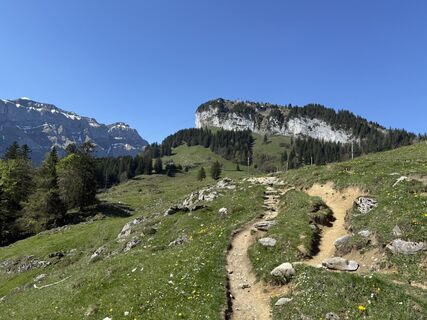 Foto från Fábi under resans gång