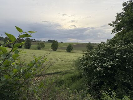 Fotografie z Schaali na trase