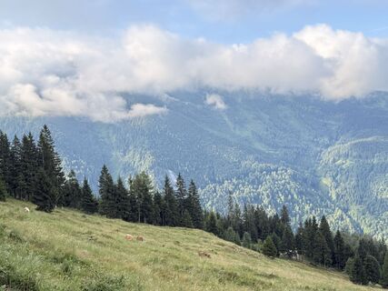 Fotografia z Natur_erleben_dg na trase