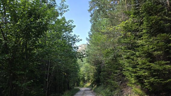 Fotografija s spletne strani EP87 na poti