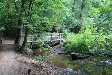 Märchenwald Pfarrbusch