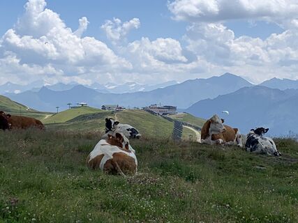 Zdjęcie z Koen De Wit wzdłuż trasy