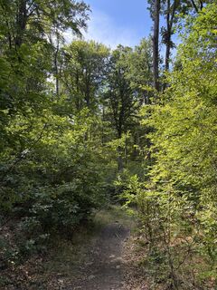 Foto de Máté Ádám Schultheisz a lo largo del recorrido