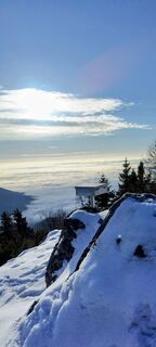 Fotografija s spletne strani veronika bozic na poti