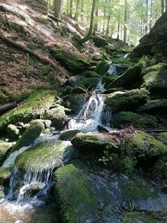 Fotografie z Dagmar Hofer na trase