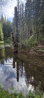 Fotografie z Franz Lammer na trase